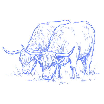 Grass fed & finished Tallow